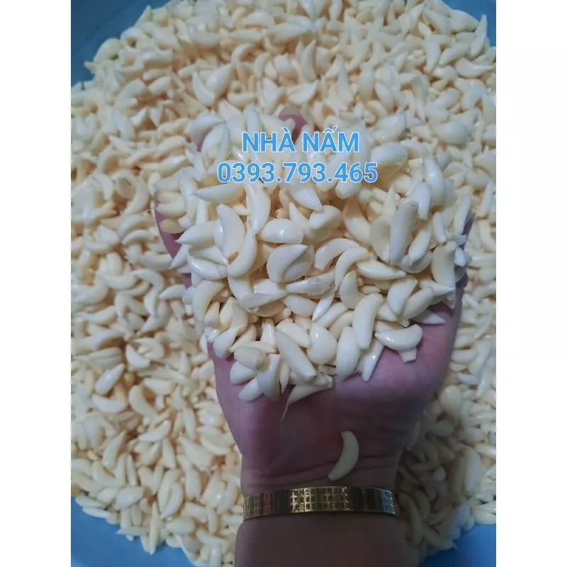 Tỏi Lý Sơn lột sẳn  - Hút chân không - Gói 500gr