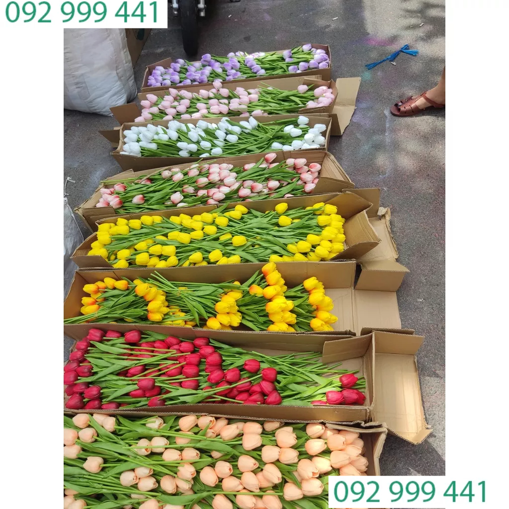Hoa Giả - Hoa Tuylip Cao cấp Decor, Trang Trí Giá Rẻ