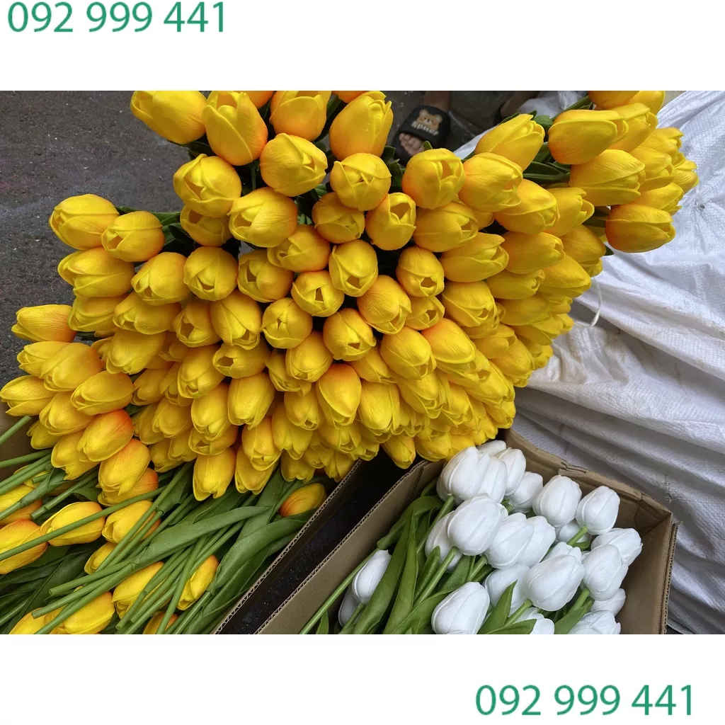 Hoa Giả - Hoa Tuylip Cao cấp Decor, Trang Trí Giá Rẻ