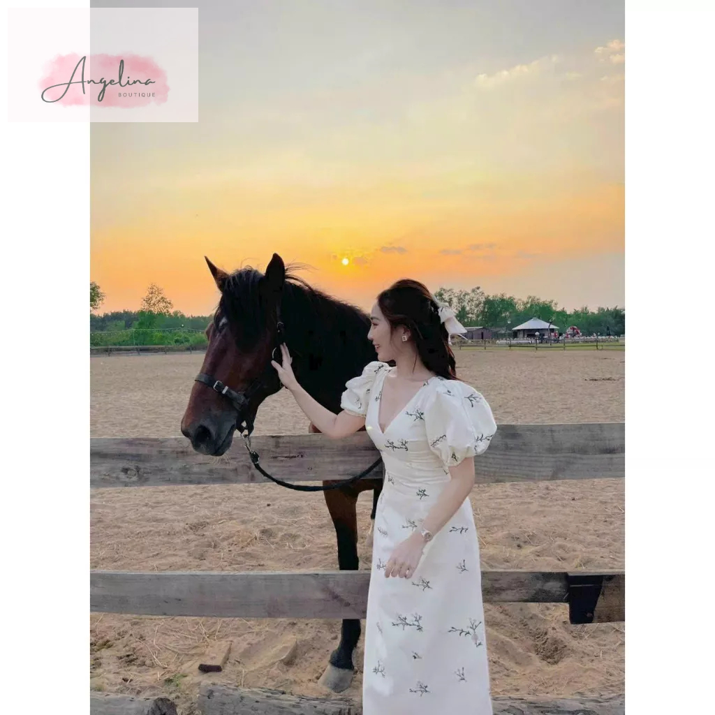 Đầm nữ thiết kế dáng midi cổ V tay phồng hoạ tiết Hamony Dress độc đáo