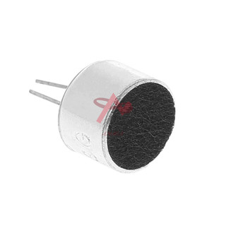 Mic 6x6mm (Cảm Biến Âm Thanh)