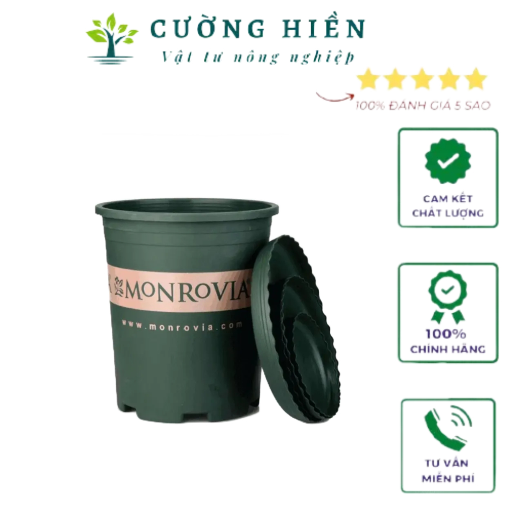 Chậu nhựa trồng cây cao cấp Monrovia số 1 kèm đĩa lót đáy