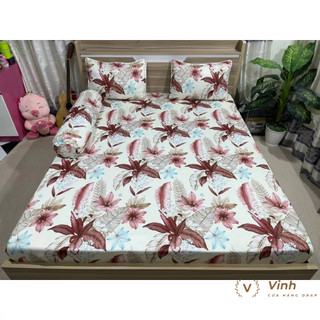 Bộ Drap Thun Lạnh Ý 5D