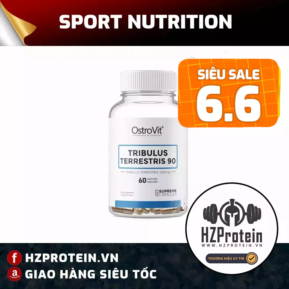 OSTROVIT TRIBULUS TERRESTRIS 90 - THỰC PHẨM TĂNG CƯỜNG SỨC MẠNH CƠ BẮP, KHẢ NĂNG ĐÀN ÔNG CỦA HÃNG OSTROVIT (60 VIÊN)