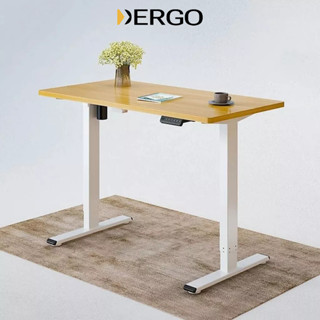 Bàn Làm Việc Đứng Điều Chỉnh Độ Cao DERGO Flexispot EN1 (Standard - 2 Stages)