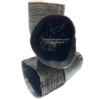 TÚI BẦU CHUYÊN DÙNG ƯƠM CÂY GIỐNG ĂN QUẢ-HOA CÂY CẢNH (8x8cm) 500gr