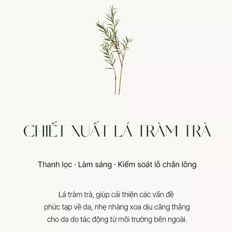 Kem dưỡng AROMATICA dạng gel tràm trà 5% Niacinamide 0.1% PHA làm sạch lỗ chân lông