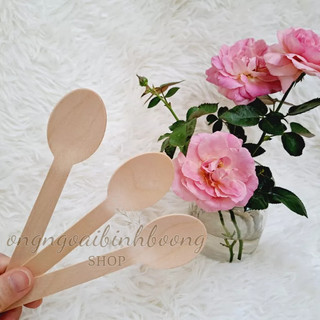 100 THÌA GỖ, DĨA GỖ DÙNG 1 LẦN