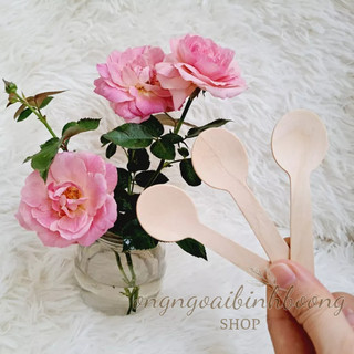 100 THÌA GỖ, DĨA GỖ DÙNG 1 LẦN