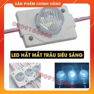 Đèn led hắt dọi 1 bóng 2835 siêu sáng -12v- 20 bóng/1 dây, chống nước, độ bền cao