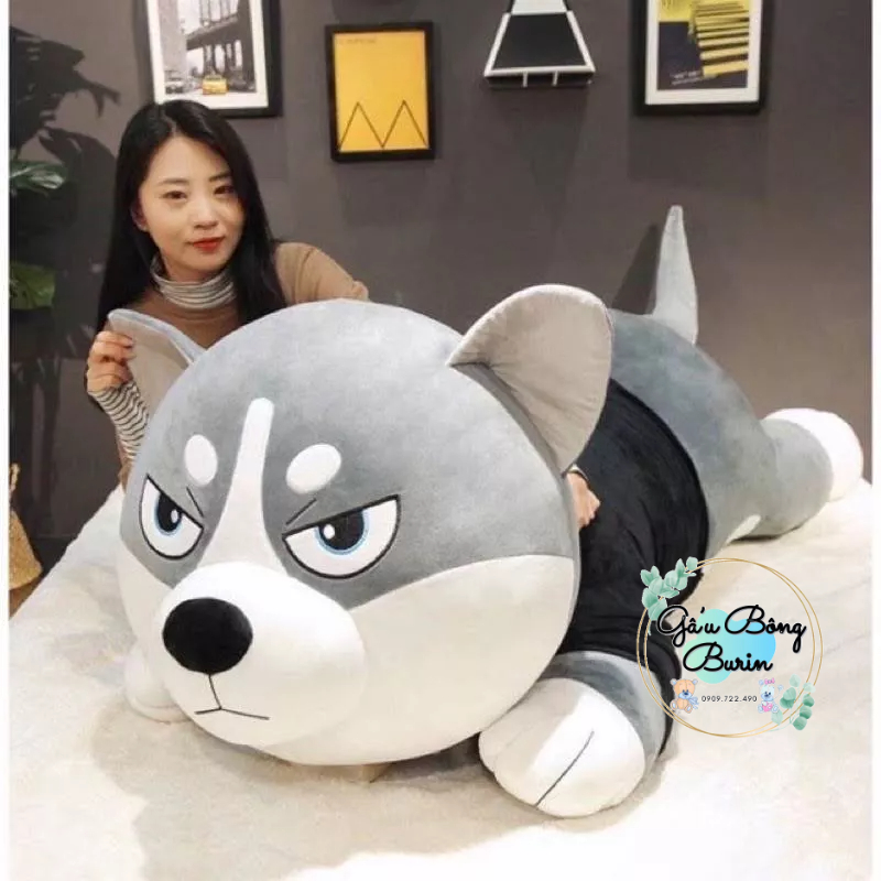 Gấu bông chó ngáo, chó husky mặt ngáo siêu to khổng lồ 1m5, chó husky mặc áo siêu ú