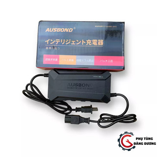Sạc bình xe điện 48v_12-14ah, 48v _20ah;chống phồng bình, sạc tự ngắt khi đầy