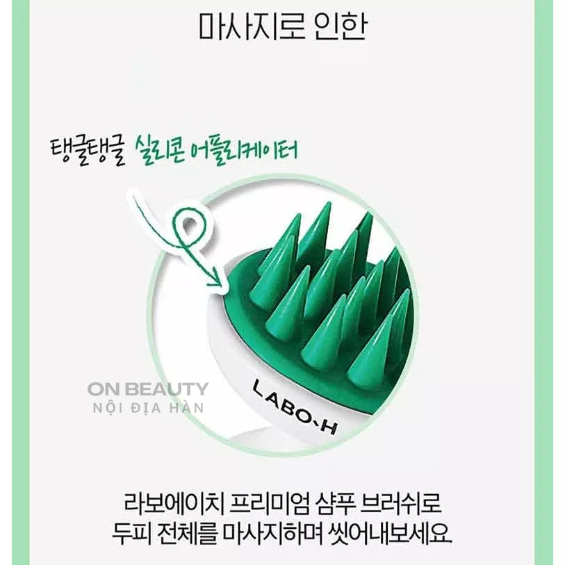 Lược gội đầu LABO-H Premium Shampoo Brush nội địa Hàn chính hãng