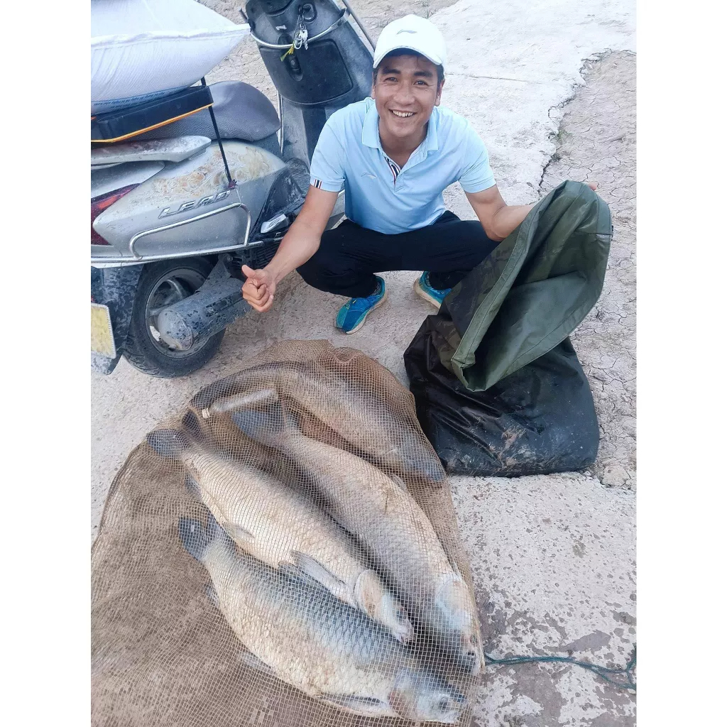 Hương Liệu Câu Cá Bách Dụ Trắm Đen