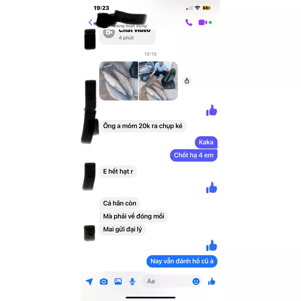 Hương Liệu Câu Cá Bách Dụ Trắm Đen