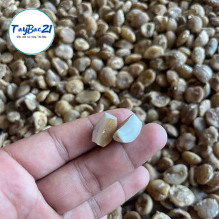Hạt sang hạt sành dạ dày đại tràng khó tiêu