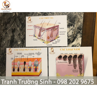 BỘ 3 TRANH CẤU TRÚC DA