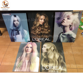 COMBO 5 TRANH TÓC NỮ , SALON