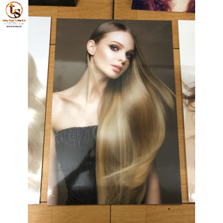 TRANH SALON TÓC NỮ FOMEX DÁN TƯỜNG (40X60)