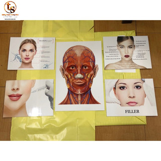TRANH FILLER - COMBO 5 TẤM TRANH ĐẸP-BỀN-RẺ