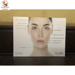 COMBO 5 TRANH FILLER