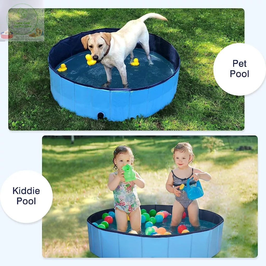 Bể Bơi Gấp Gọn Cho Thú Cưng, Có Thể Làm Bể Bóng Cho Trẻ Em Không Cần Phải Bơm Hơi