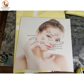 TRANH FOMEX DÁN 50x50 (Filler)