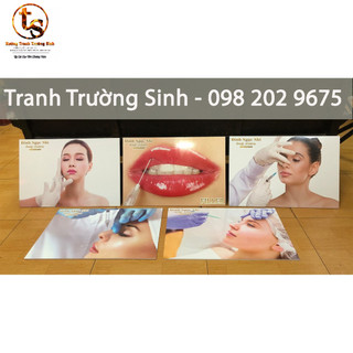 COMBO 5 TRANH FILLER TIÊM MÔI,MŨI (40x60x5)