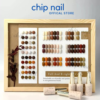  Sét sơn gel 40 màu Aivennhuy tông nâu tặng kèm bảng màu 