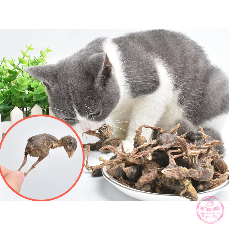 Chim Cút Sấy Cho Chó Mèo - 50G