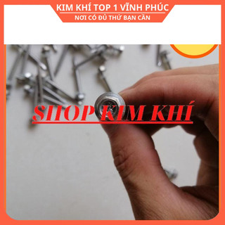 Vít bắn Tôn mạ kẽm nhiều loại số lượng 1kg