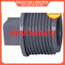 Đầu bịt ống nước các loại (10 cái)