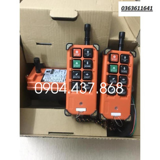 Bộ điều khiển từ xa 2 tay telecrane f21-e1b