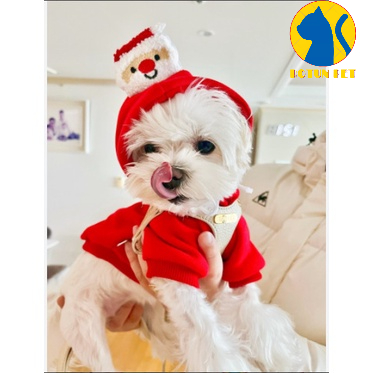Áo nỉ hoodie giáng sinh dành cho chó mèo hình cây thông và ông già noel