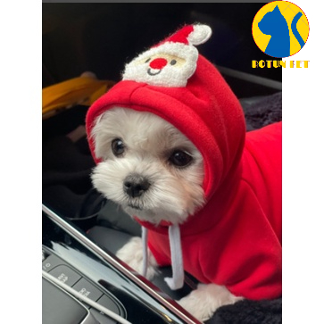 Áo nỉ hoodie giáng sinh dành cho chó mèo hình cây thông và ông già noel