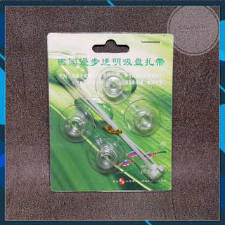 hít kính giữ vỉ buộc rêu