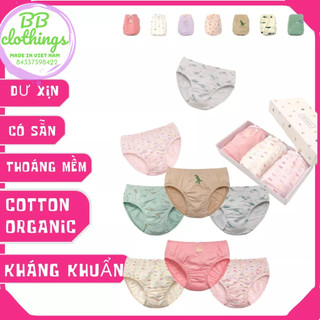 Set 5c quần lót cotton organic ppippilong cho bé gái