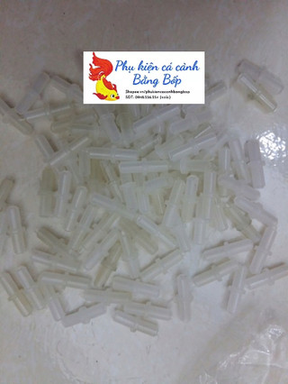 Nối thẳng dây sủi oxy bể cá cảnh