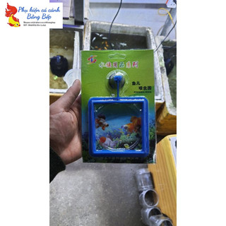 Vòng cho cá ăn - giữ thức ăn cho cá cảnh