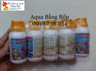 Men vi sinh Compozyme Long Sinh cho bể cá