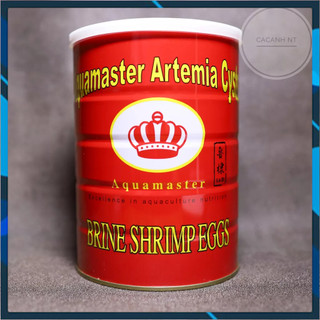 Artemia Lon Đỏ , thức ăn cho cá con mới nở