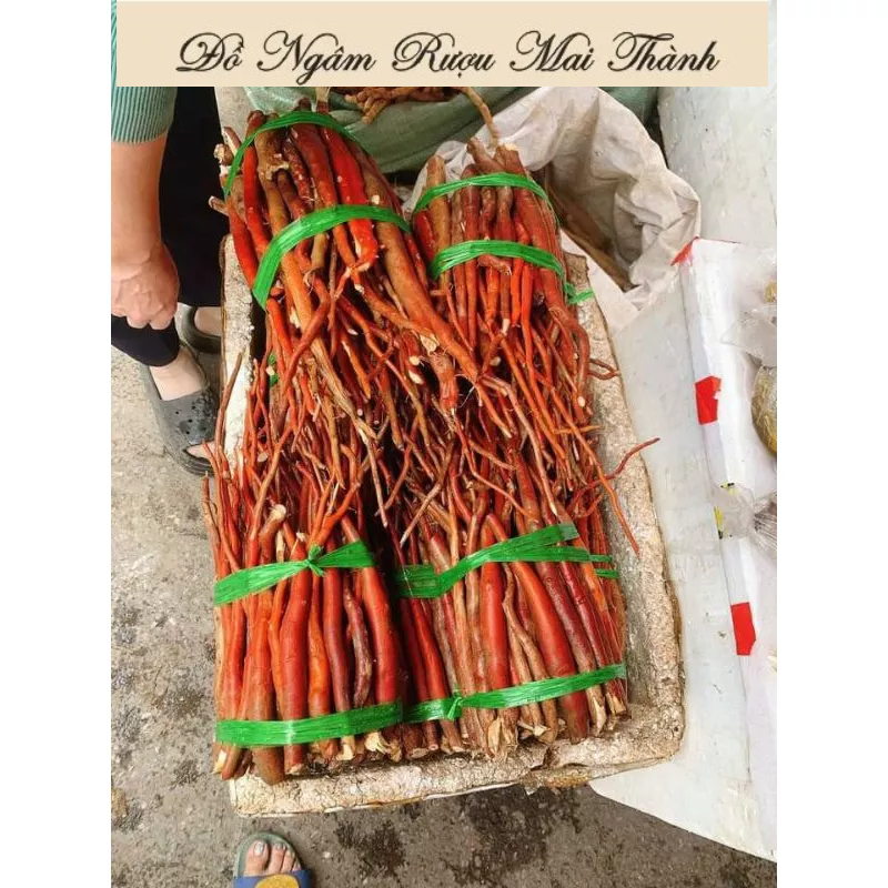 SÂM CAU ĐỎ 1kg