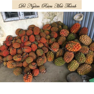 1Kg quả Dứa dại