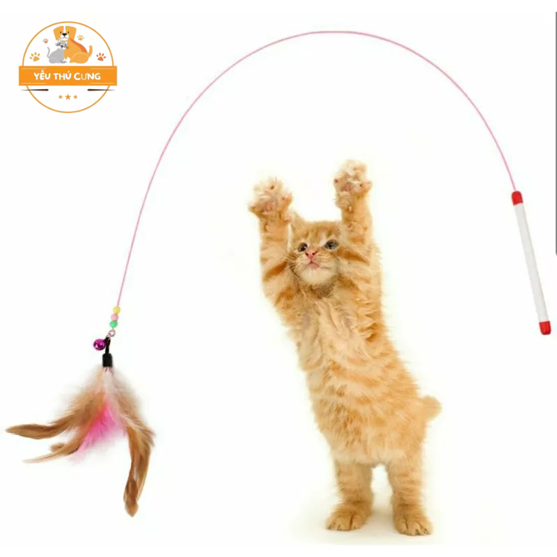 Cần câu mèo lông vũ, dây thép dẻo bền giá rẻ