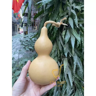 Hồ lô tự nhiên nguyên cuống bày ban thờ hoặc phòng khách