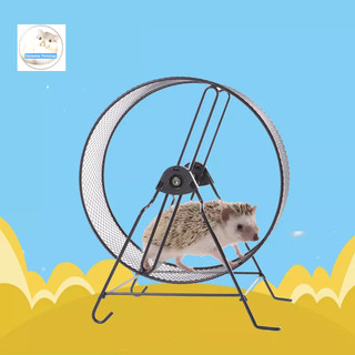 Wheel sắt cho hams, sóc, bọ, nhím ....