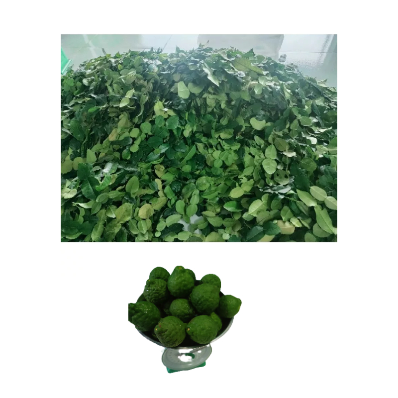 100g lá chanh thái, lá chúc giá 20k