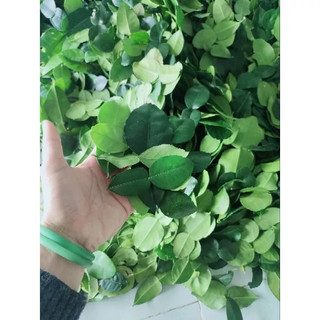 100g lá chanh thái, lá chúc. lá chanh số 8