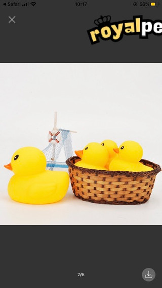 🐥🐥(10)con ĐỒ CHƠI CHÓ MÈO -VỊT RUBBER CHÍP CHÍP🐤🐤