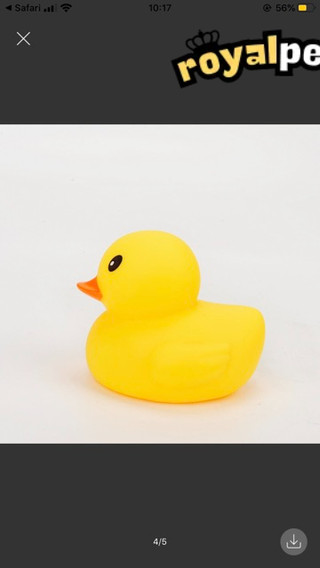 🐥🐥(10)con ĐỒ CHƠI CHÓ MÈO -VỊT RUBBER CHÍP CHÍP🐤🐤